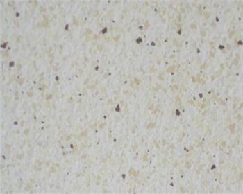 真石漆的使用環(huán)境和使用注意事項(xiàng)