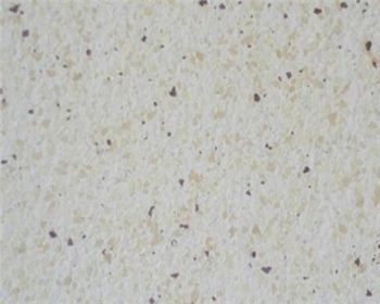 成都真石漆涂膜容易發(fā)花的原因